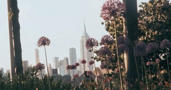 Instagram post from ictashif. This post is in position 0.