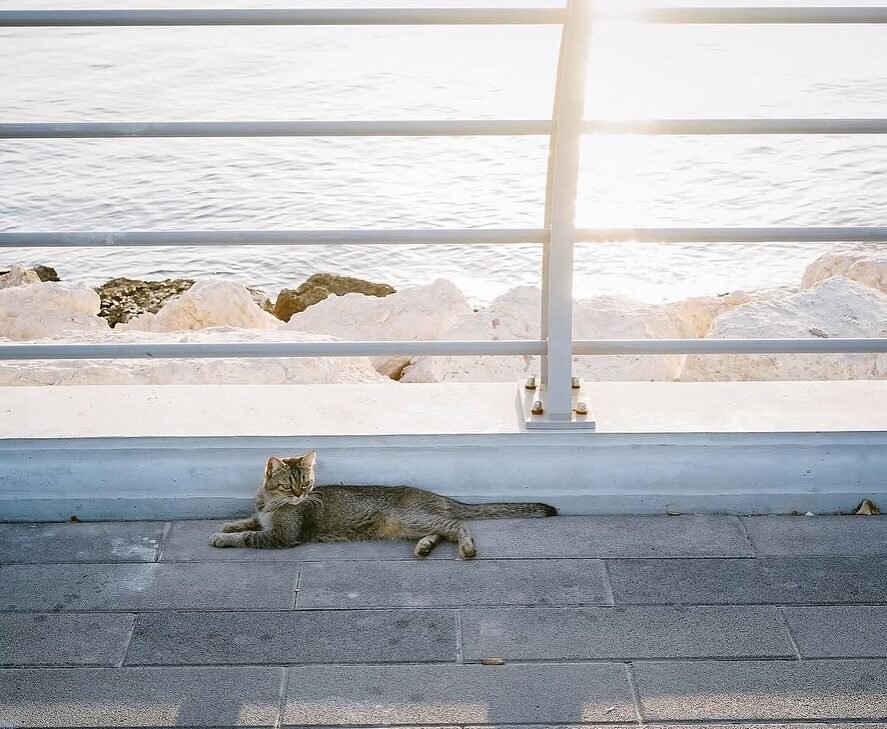 Instagram post from ictashif. This post is in position 3.