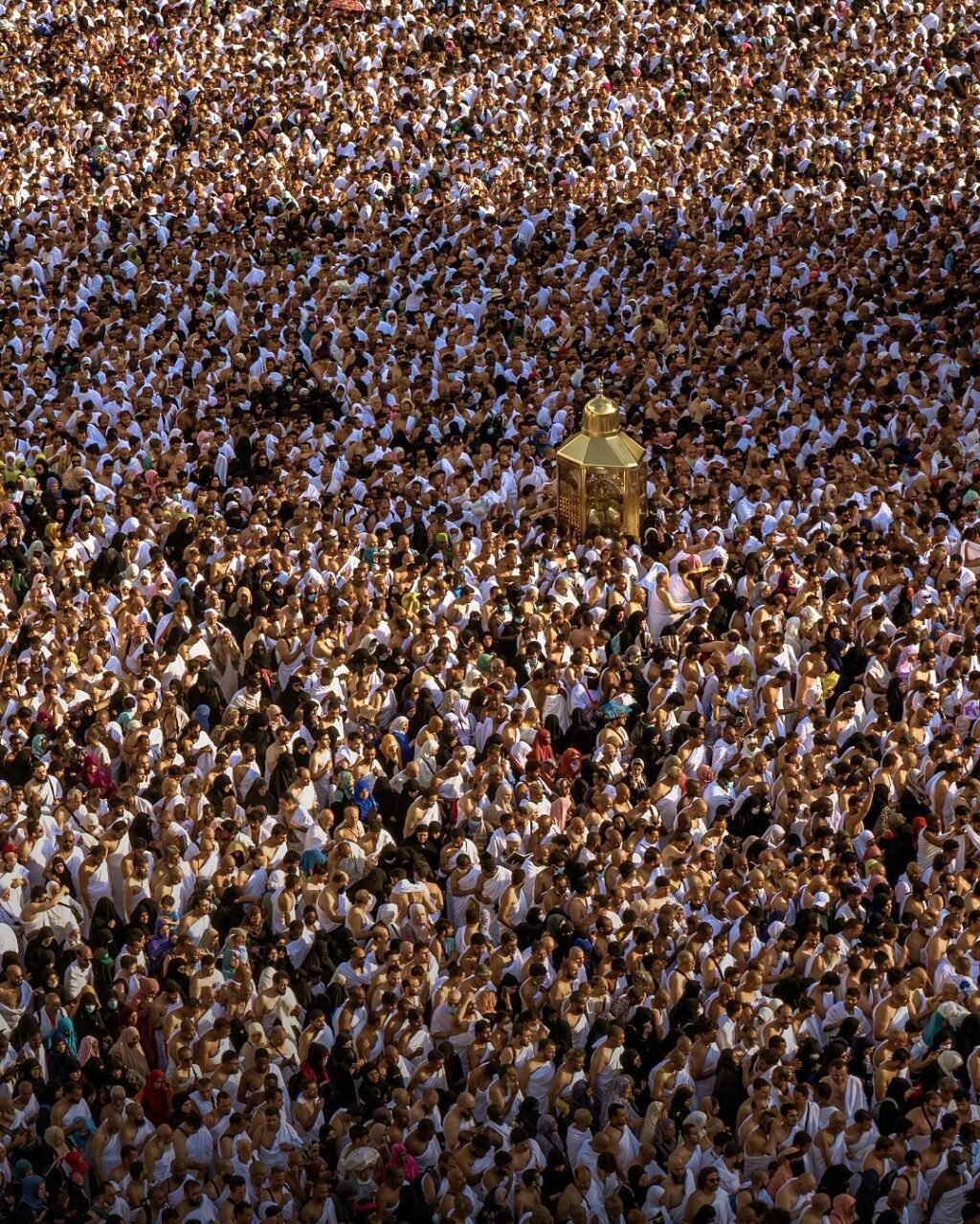 Instagram post from ictashif. This post is in position 2.