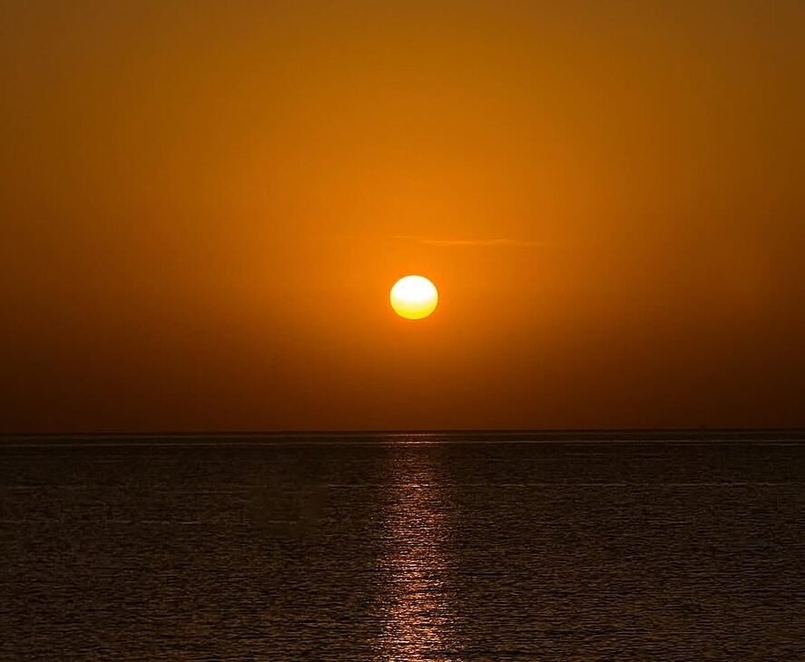 Instagram post from ictashif. This post is in position 5.